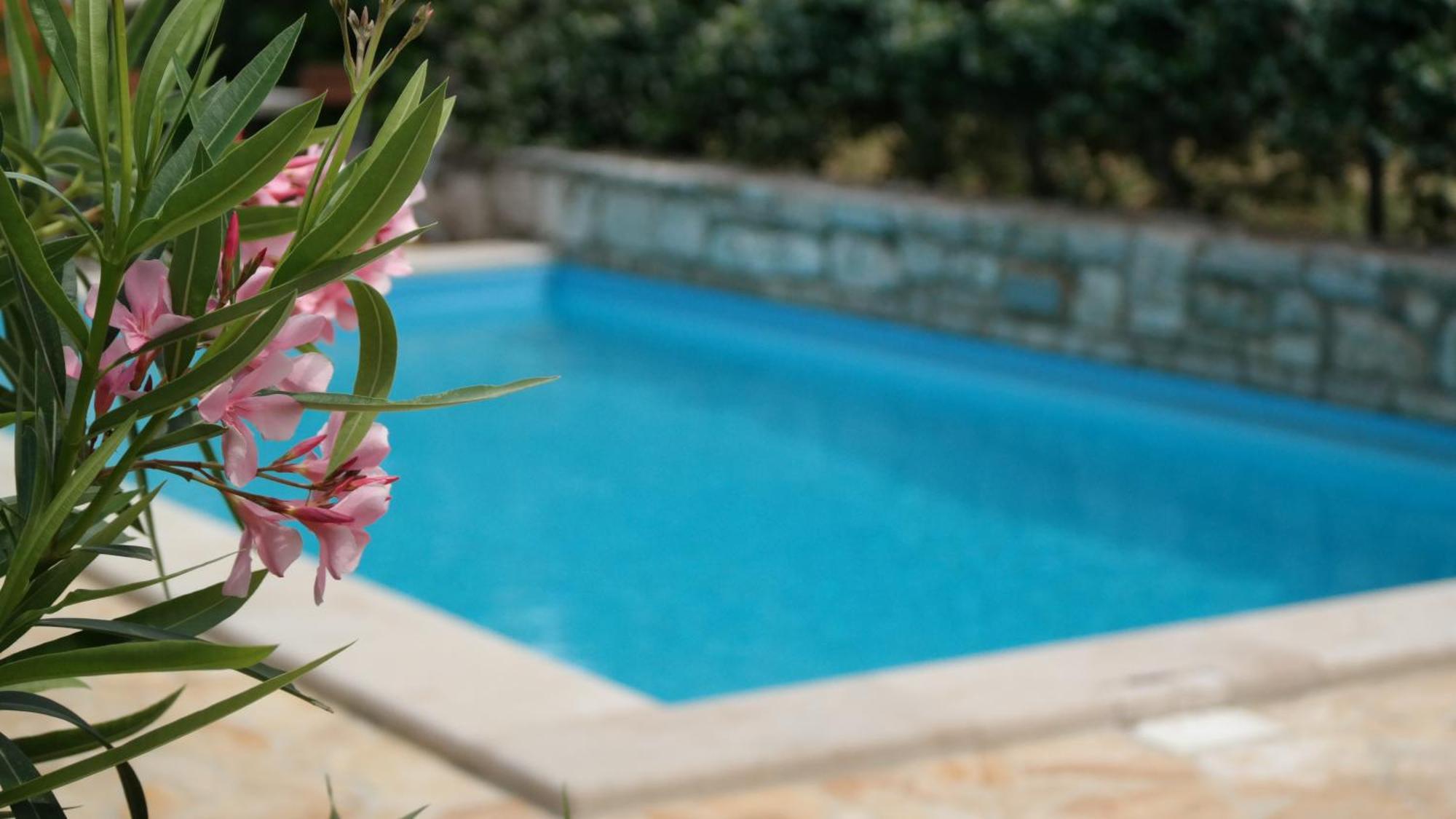 Villa Terra Mirna Vižinada Exterior foto