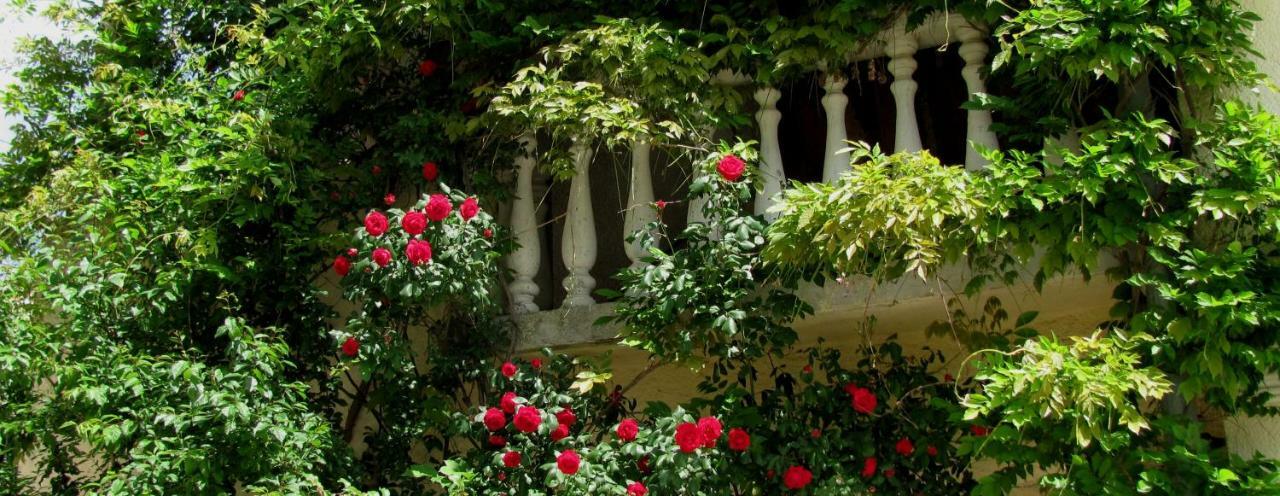 Villa Terra Mirna Vižinada Exterior foto